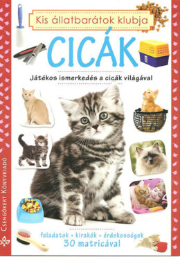 Cicák - Játékos ismerkedés a cicák világával
