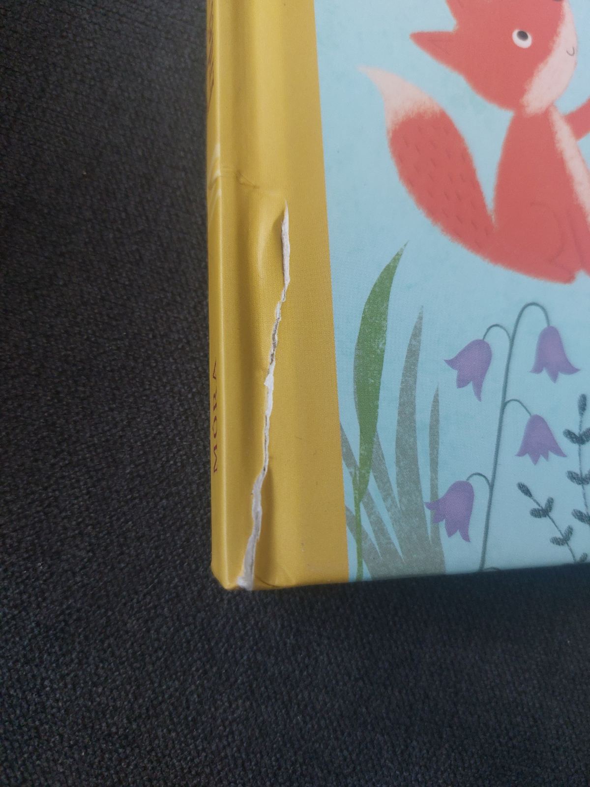 Erdei mesék minden évszakra - SZÉPSÉGHIBÁS - Image 2