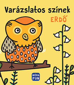 Varázslatos színek - Erdő