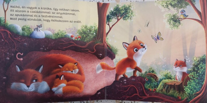 Halihó, gyertek velem! Én vagyok a kisróka - Image 3