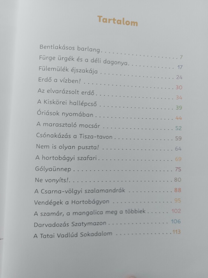 Vidrák, gólyák, denevérek - Image 2