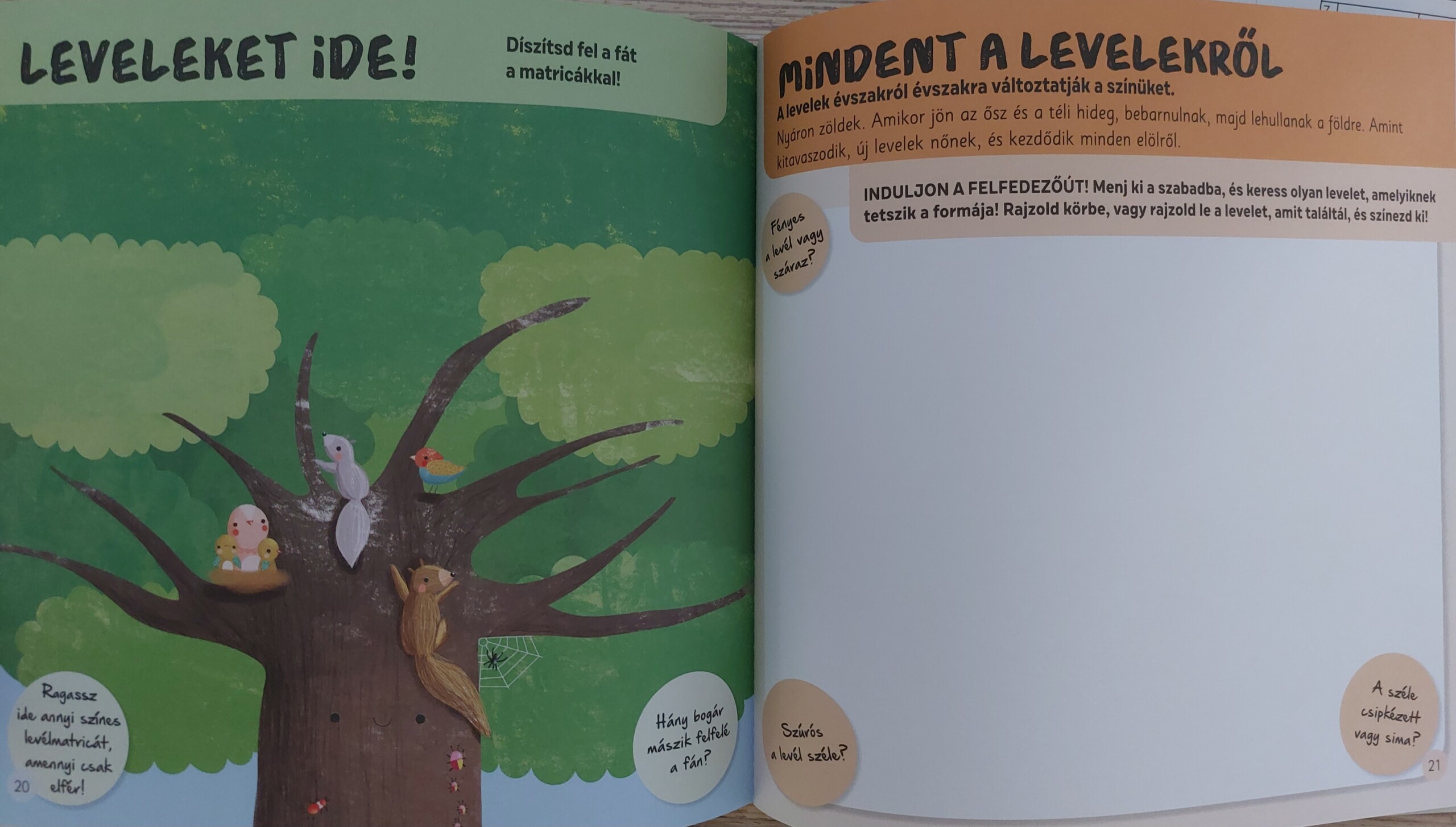 Apróságok a természetben - Matricák és feladatok kis felfedezőknek - Image 3