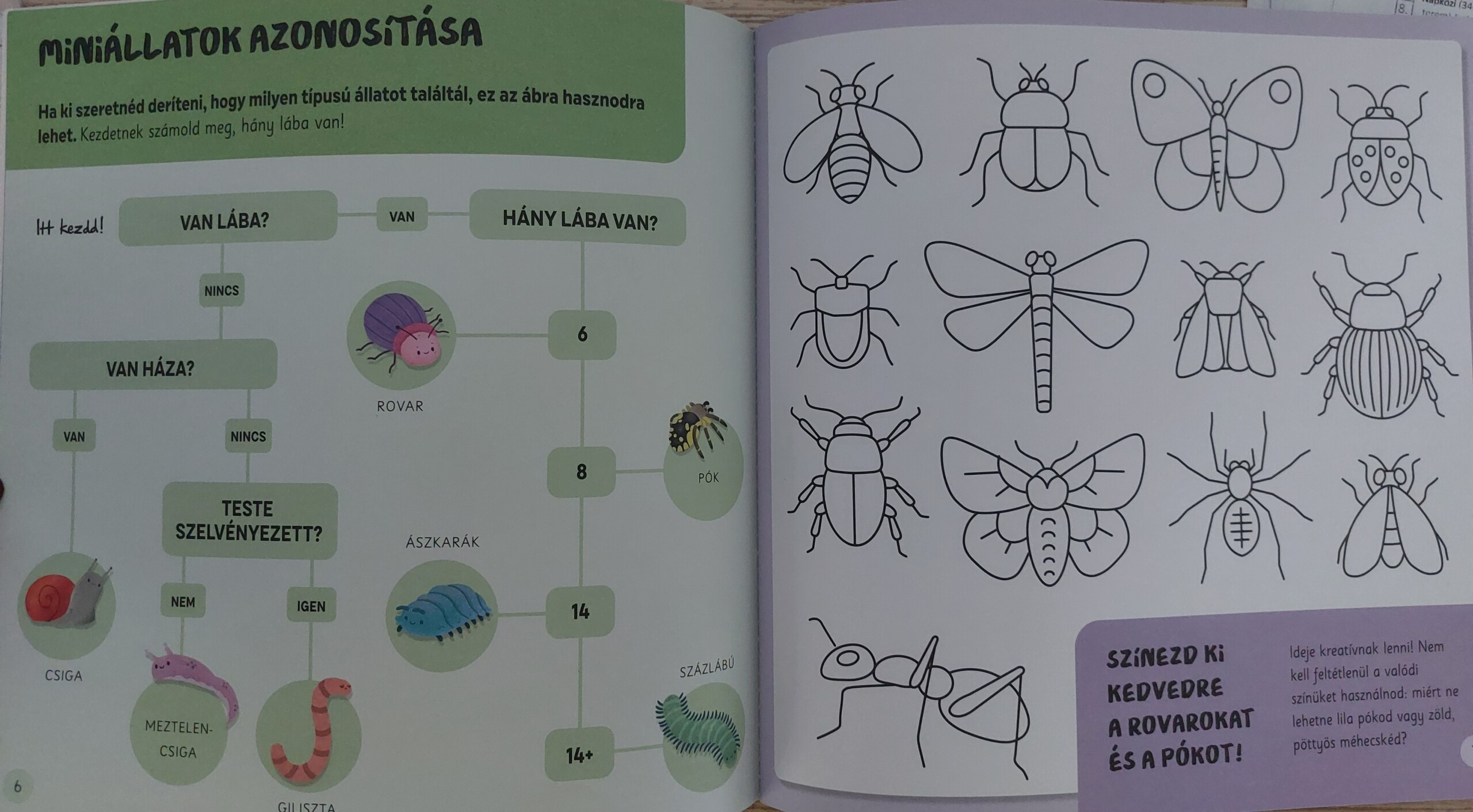 Apróságok a természetben - Matricák és feladatok kis felfedezőknek - Image 4