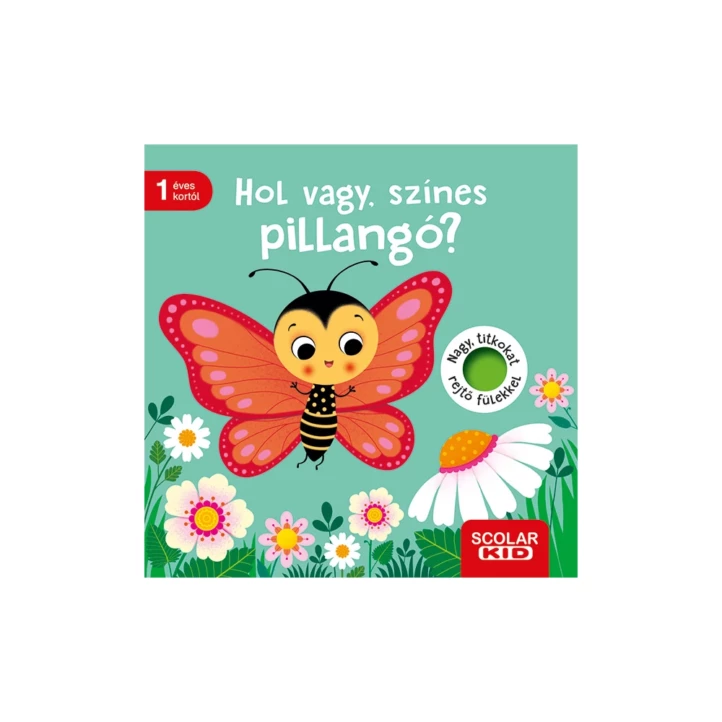 Hol vagy, színes pillangó?