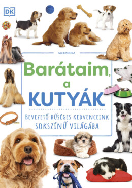 Barátaim, a kutyák