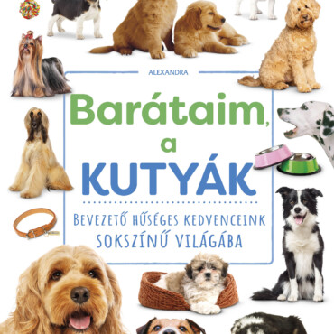 Barátaim, a kutyák