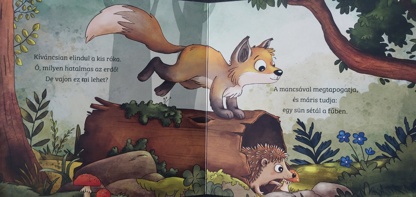 A róka - lapozó - Image 2