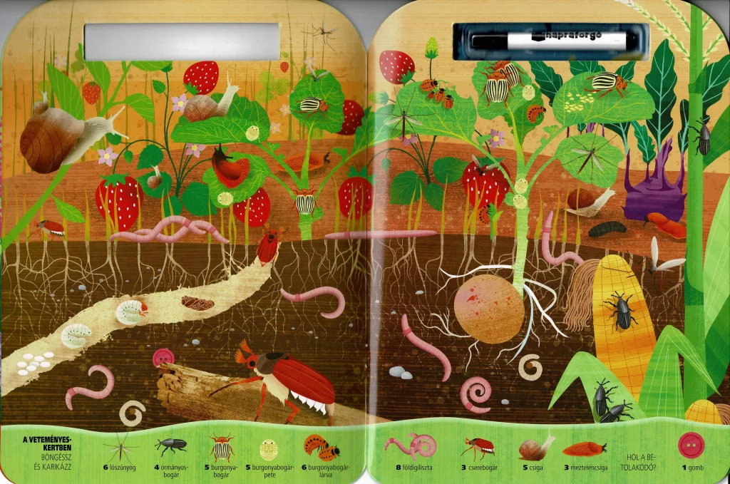 Böngéssz és karikázz! - Bogarak - Image 2