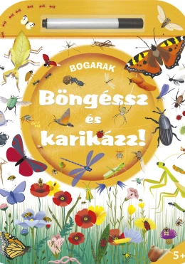 Böngéssz és karikázz! - Bogarak