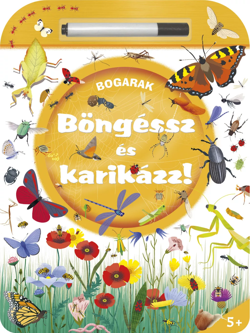 Böngéssz és karikázz! - Bogarak