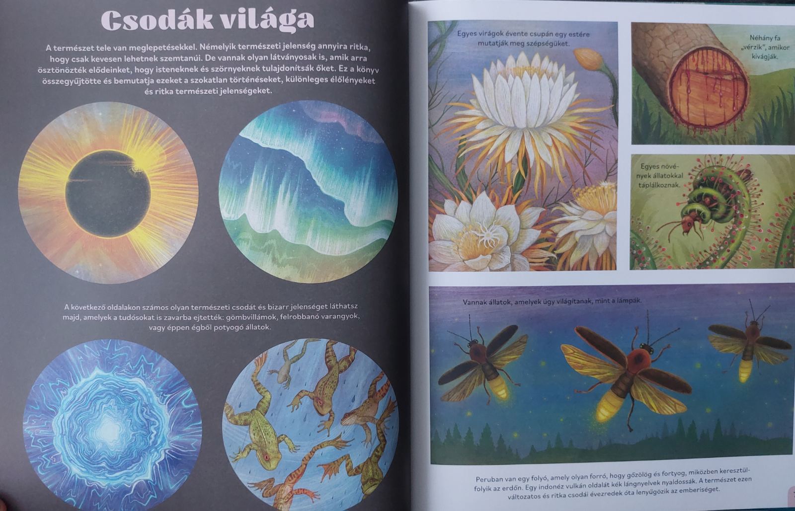 Szuperhold és más csodák - Image 3