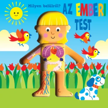 Milyen belülről - Az emberi test