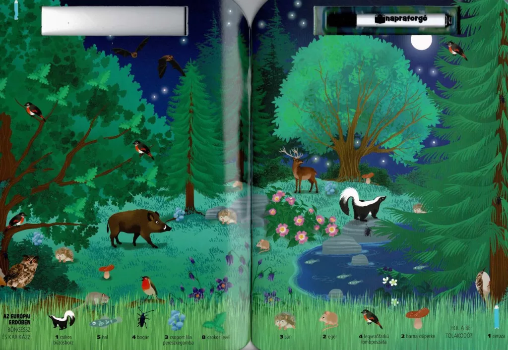 Böngéssz és karikázz! - A vadonban - Image 2