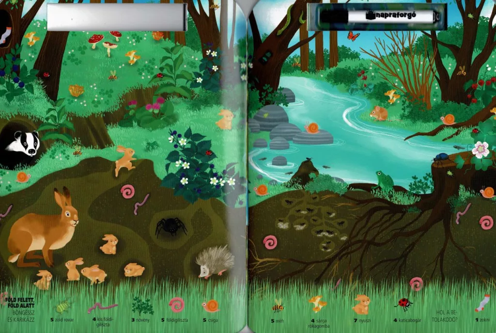 Böngéssz és karikázz! - A vadonban - Image 3