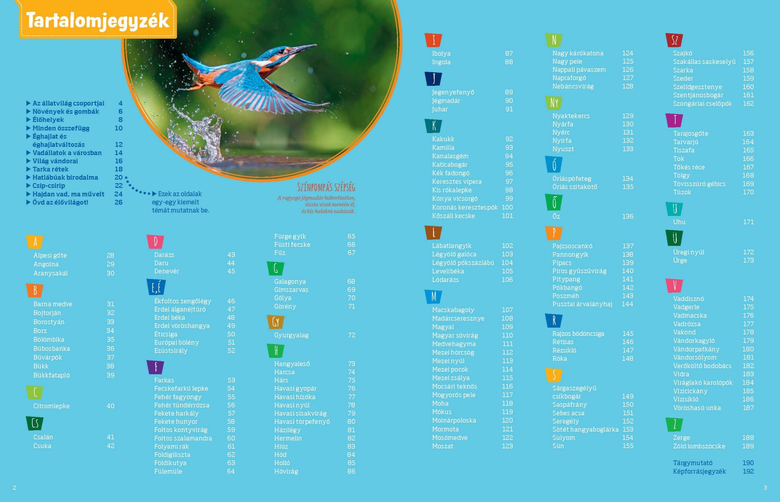 Mi MICSODA Zseniális természet – A honos élővilág szuperképességei - Image 2