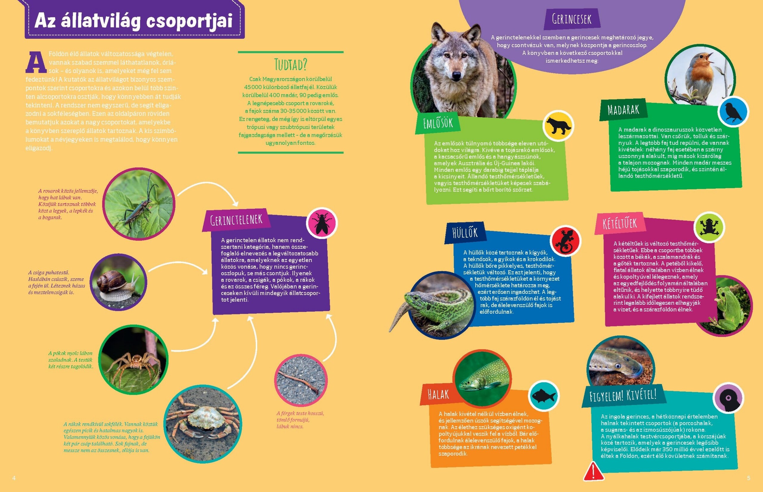 Mi MICSODA Zseniális természet – A honos élővilág szuperképességei - Image 3