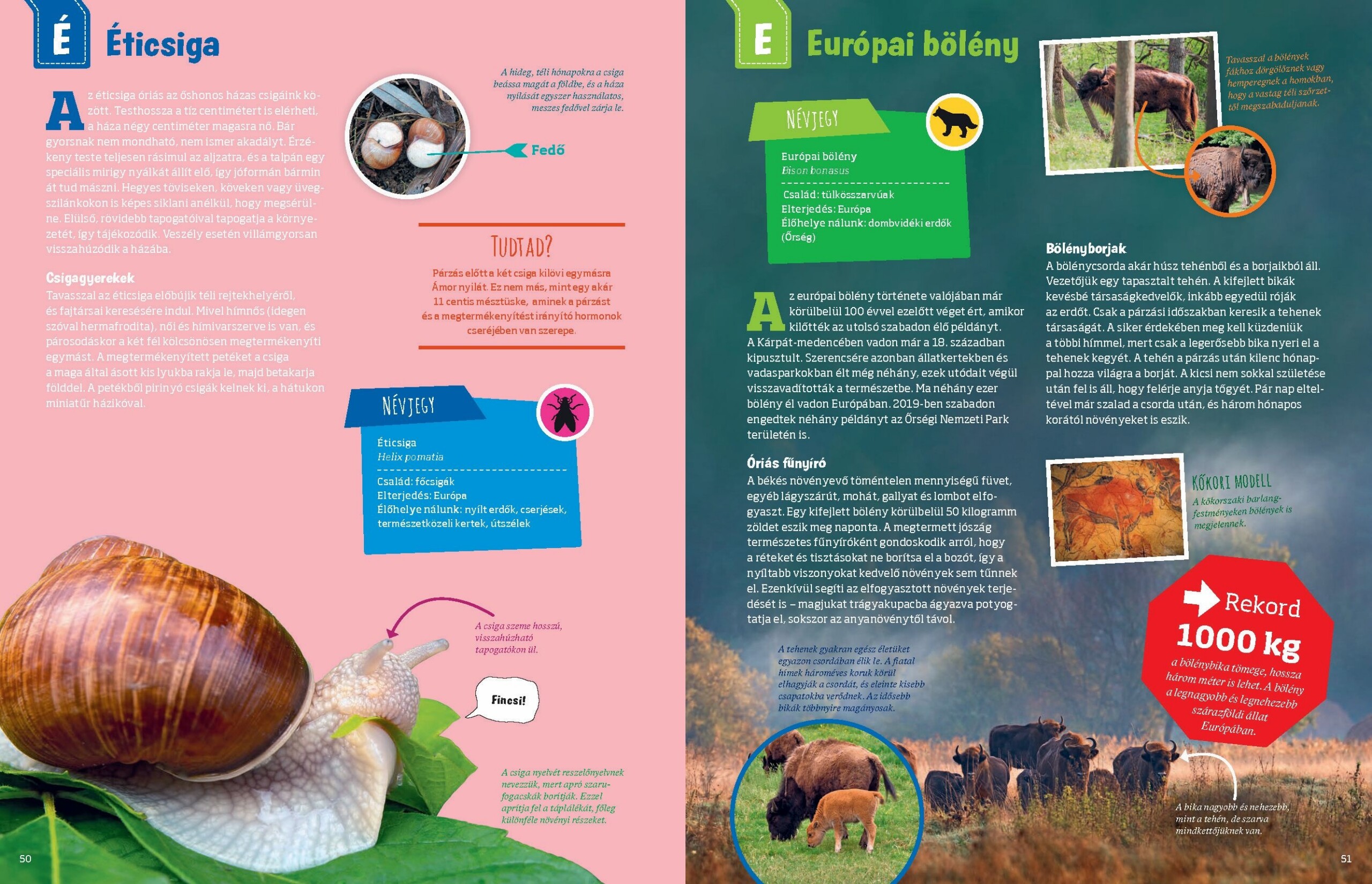 Mi MICSODA Zseniális természet – A honos élővilág szuperképességei - Image 4
