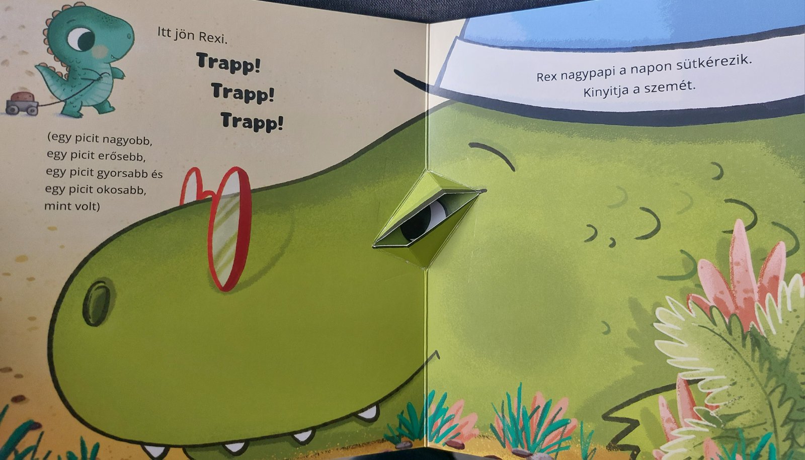 Rexi nagyra nő - Image 3