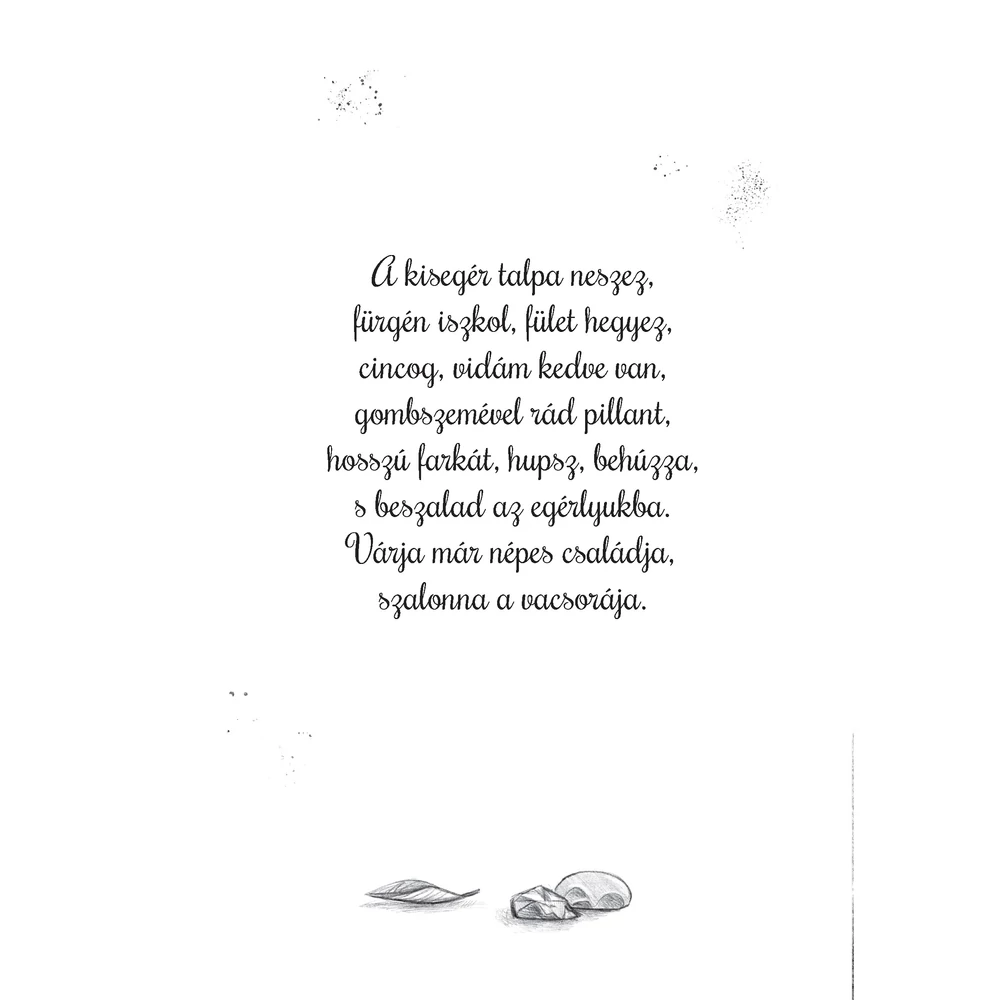 Ködtánc – A titokzatos varázserdő 4. - Image 2