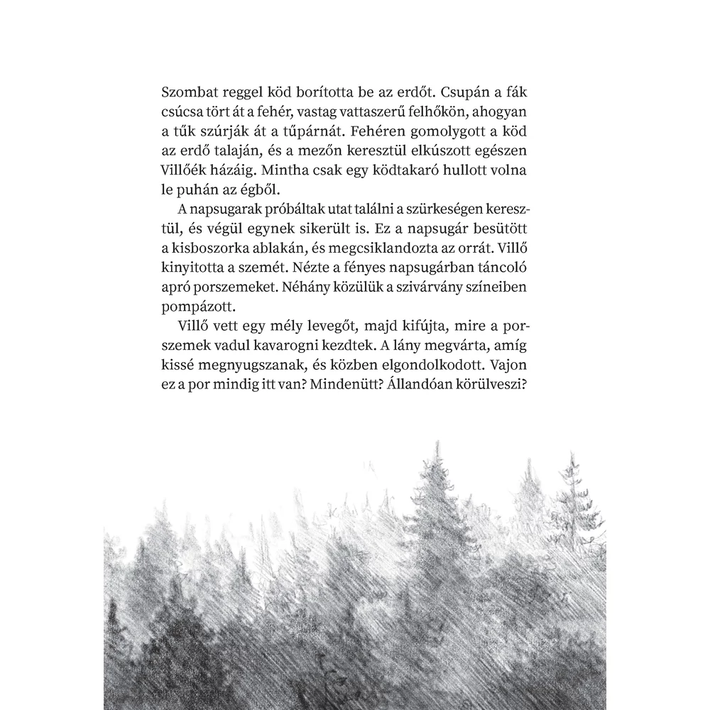 Ködtánc – A titokzatos varázserdő 4. - Image 3
