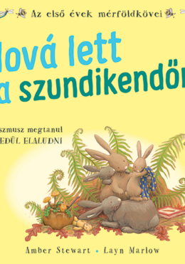 Hová lett a szundikendőm?