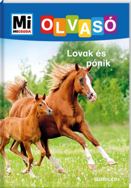Mi MICSODA Olvasó – Lovak és pónik