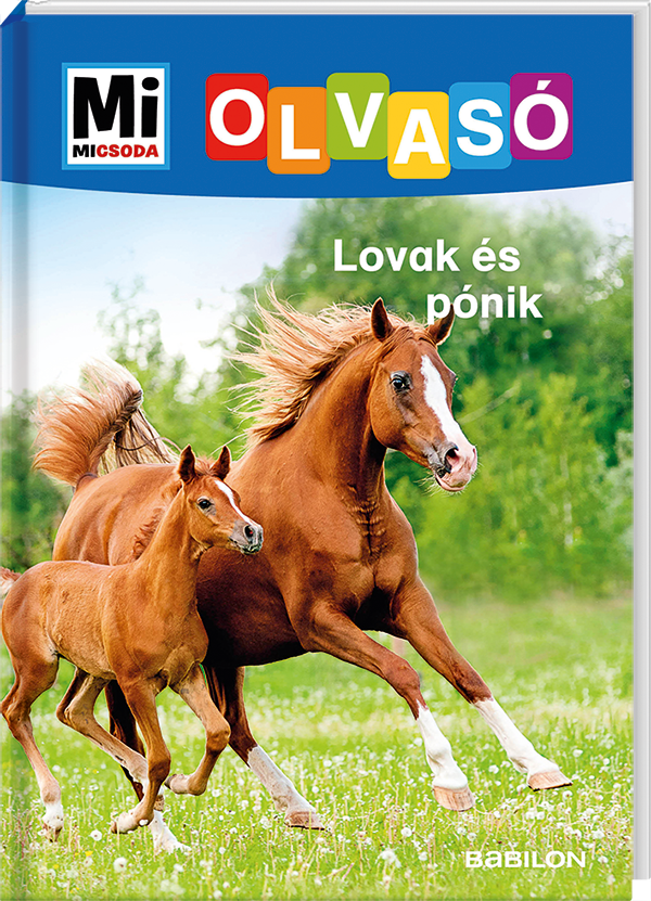 Mi MICSODA Olvasó – Lovak és pónik
