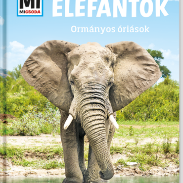 Mi MICSODA Elefántok – Ormányos óriások