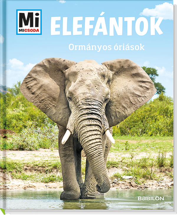 Mi MICSODA Elefántok – Ormányos óriások