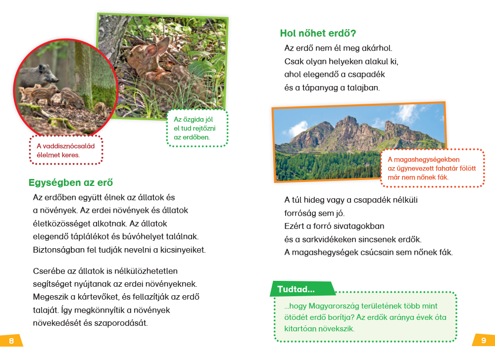 Mi MICSODA Olvasó – Erdő - Image 5