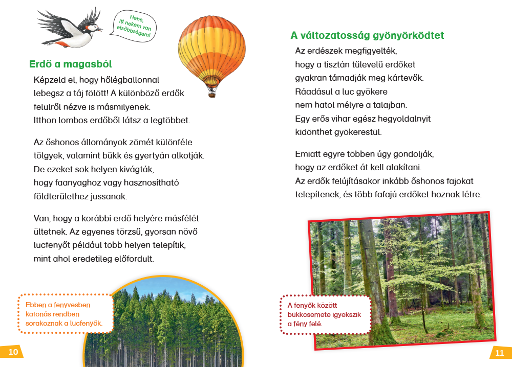Mi MICSODA Olvasó – Erdő - Image 6