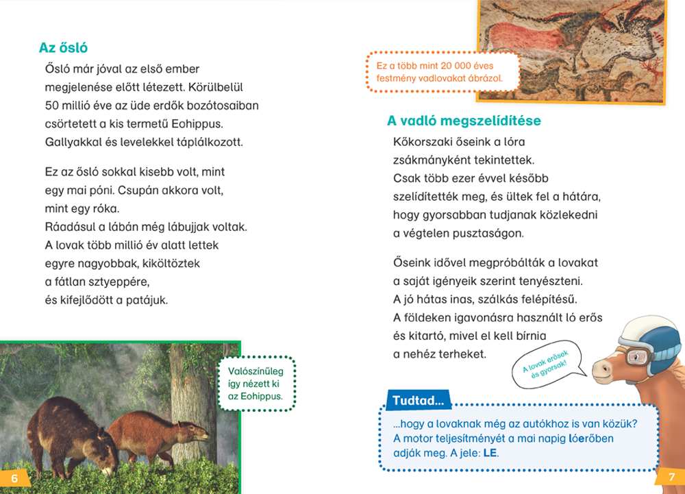 Mi MICSODA Olvasó – Lovak és pónik - Image 3