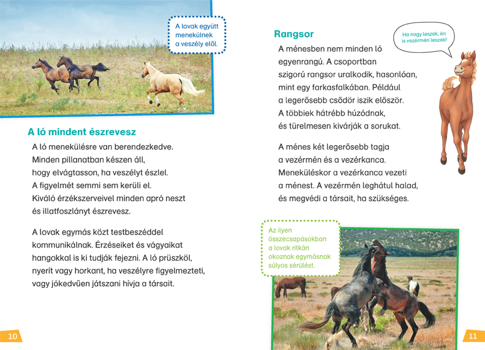 Mi MICSODA Olvasó – Lovak és pónik - Image 5