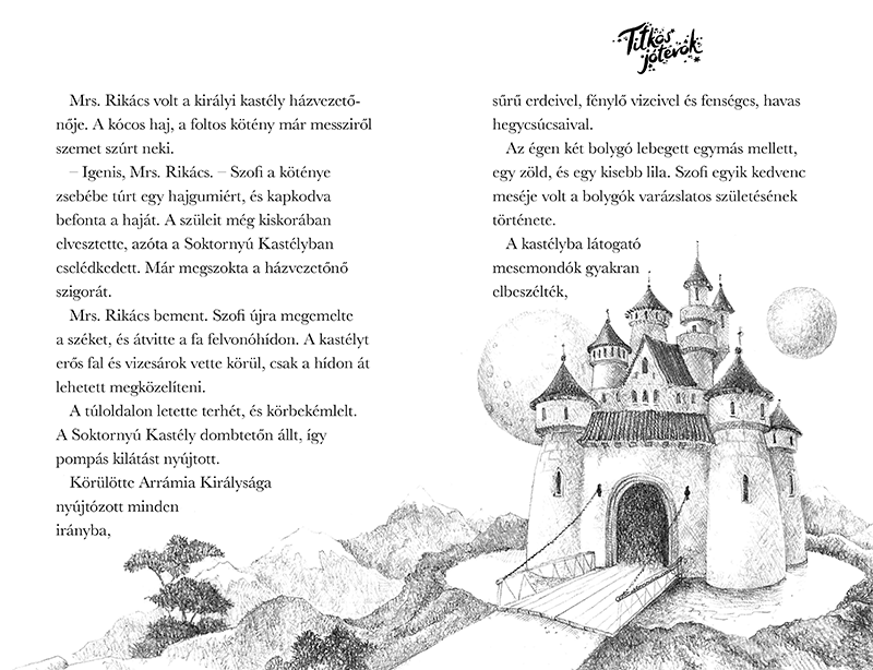 Titkos jótevők – A kis viharsárkány - Image 3