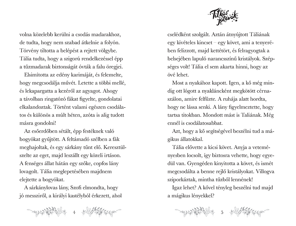 Titkos jótevők – A kis tűzmadár - Image 4
