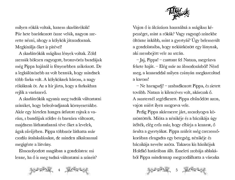 Titkos jótevők – A kis varázsróka - Image 4