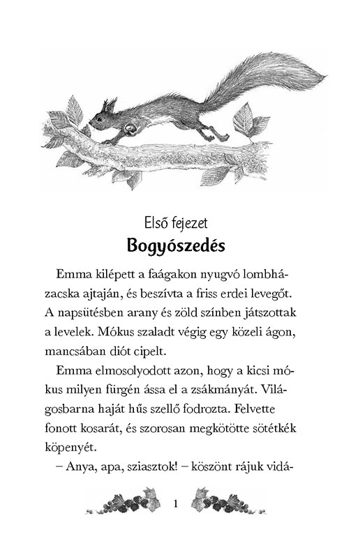 Titkos jótevők – A kis csillagfarkas - Image 2