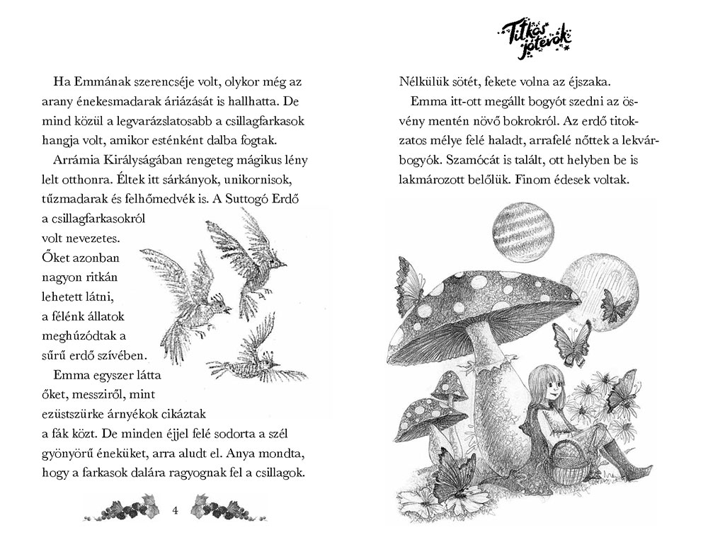 Titkos jótevők – A kis csillagfarkas - Image 4