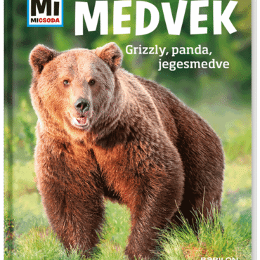 Mi MICSODA Medvék – Grizzly, panda, jegesmedve