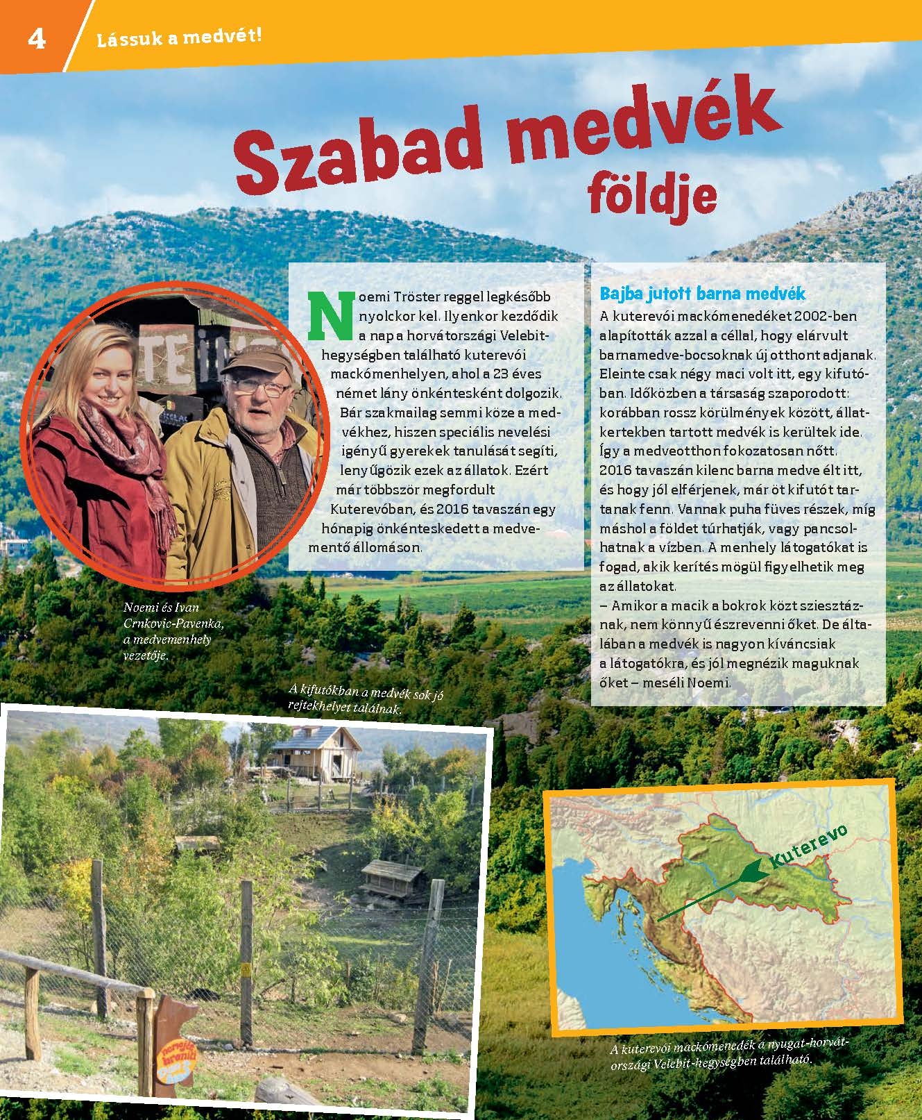 Mi MICSODA Medvék – Grizzly, panda, jegesmedve - Image 2