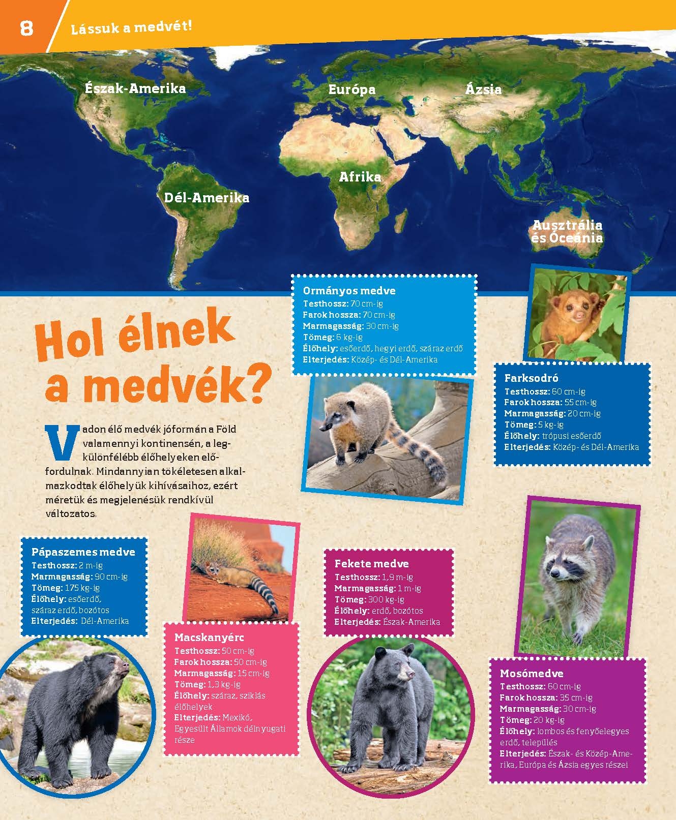 Mi MICSODA Medvék – Grizzly, panda, jegesmedve - Image 6