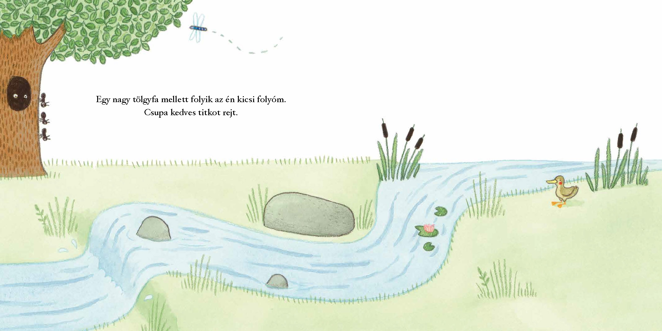 Búvóhelyek – Kicsi folyóm - Image 2