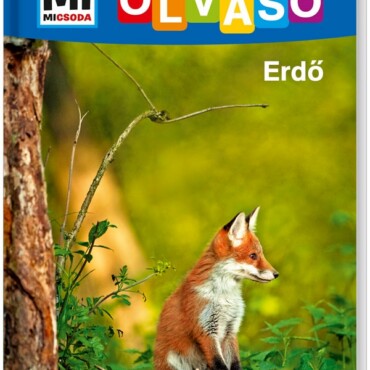 Mi MICSODA Olvasó – Erdő