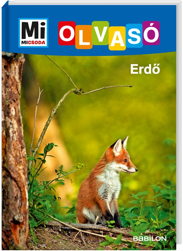Mi MICSODA Olvasó – Erdő