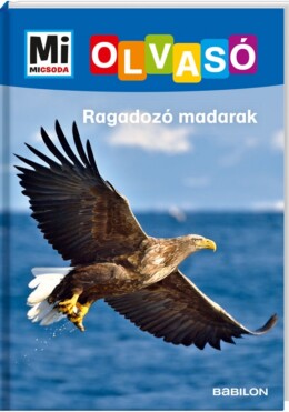 Mi MICSODA Olvasó – Ragadozó madarak