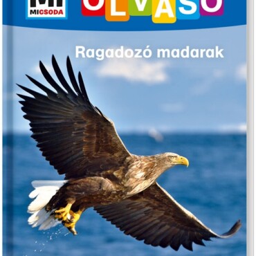 Mi MICSODA Olvasó – Ragadozó madarak