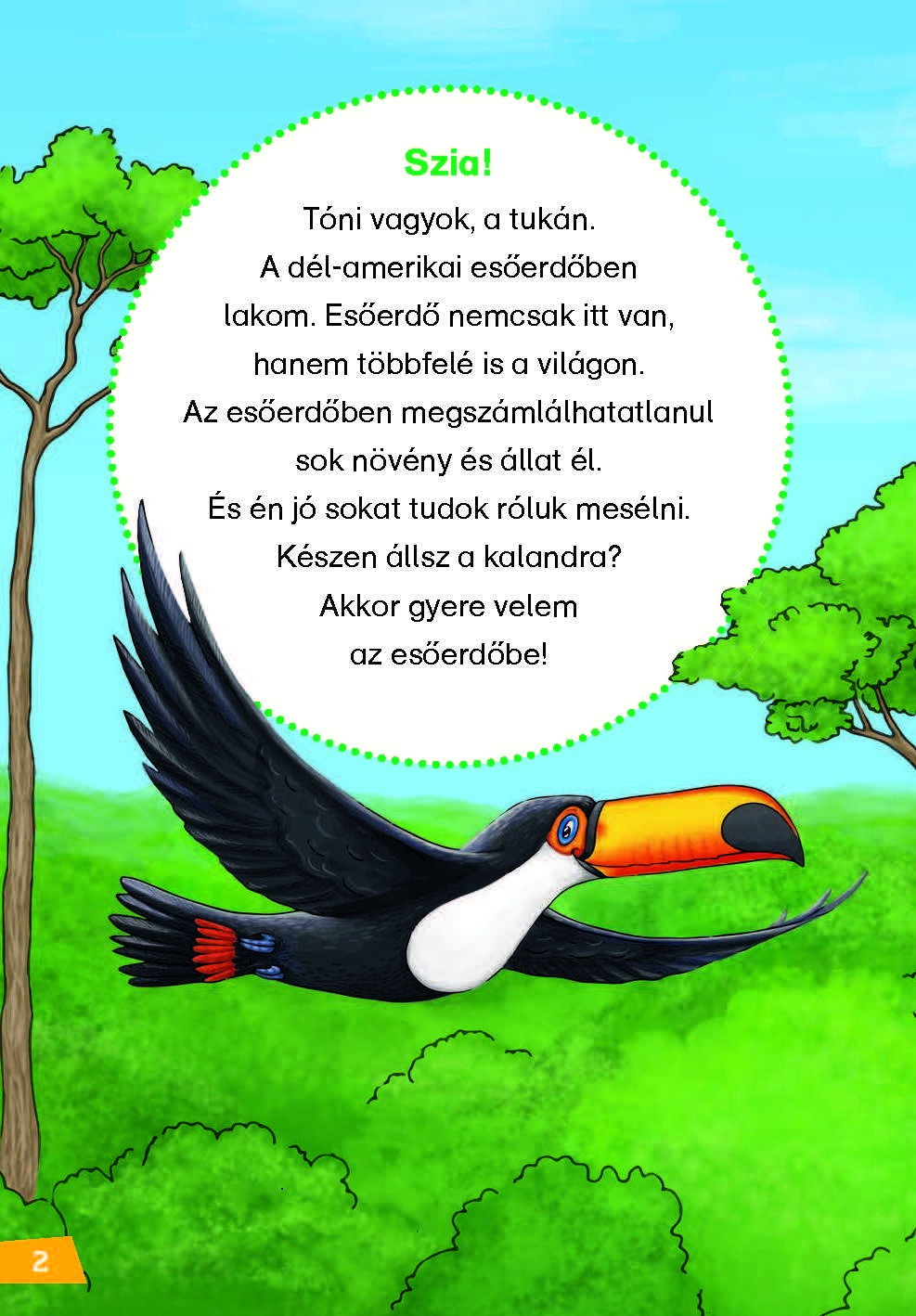 Mi MICSODA Olvasó – Esőerdők - Image 2