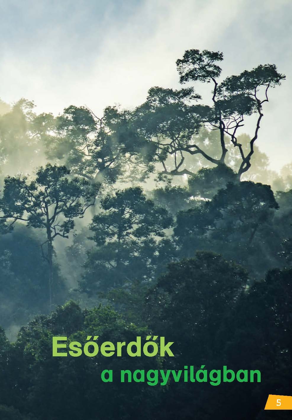 Mi MICSODA Olvasó – Esőerdők - Image 4