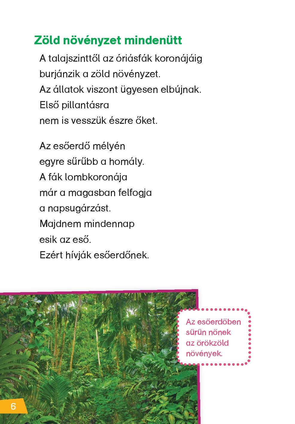 Mi MICSODA Olvasó – Esőerdők - Image 5