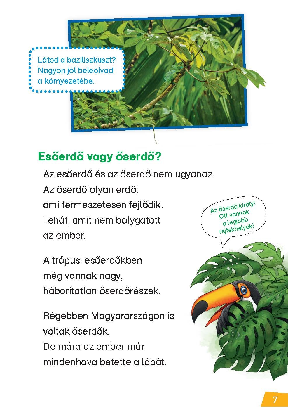 Mi MICSODA Olvasó – Esőerdők - Image 6